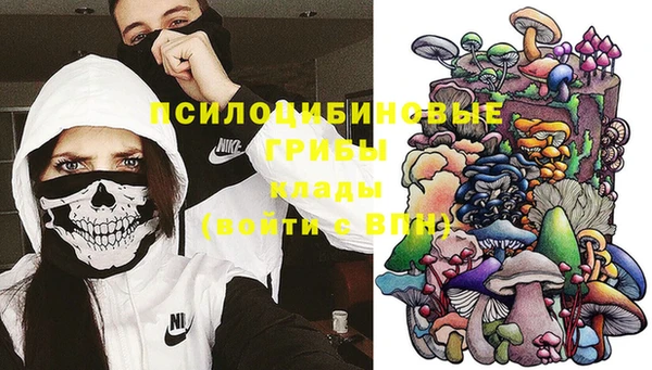 дурь Кукмор