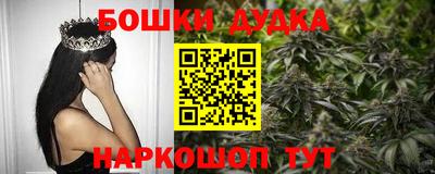 гидра Краснокаменск