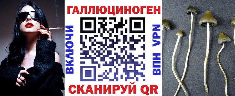 гидра tor  Чебоксары  Псилоцибиновые грибы GOLDEN TEACHER  продажа наркотиков 