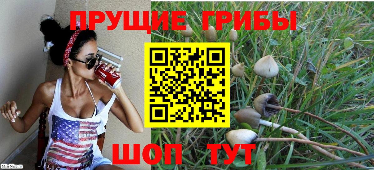 Галлюциногенные грибы мицелий Чебоксары