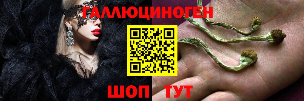 Псилоцибиновые грибы MAGIC MUSHROOMS  Вход с VPN  наркотики  Чебоксары 