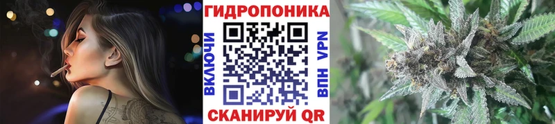Бошки Шишки тримм  где купить наркотик  Чебоксары 